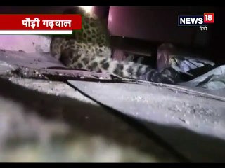 घर में घुसे तेंदुए को गृहस्वामी ने किया कैद, मौके पर वन विभाग की टीम