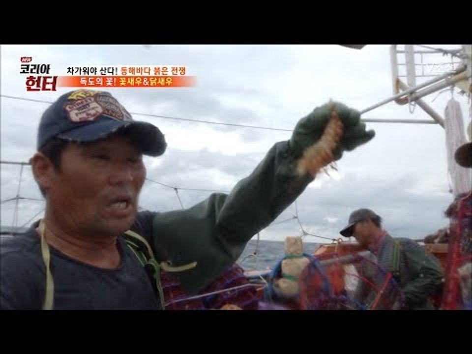 모습을 드러낸 꽃새우와 닭새우! [뉴 코리아 헌터] 64회 20170821