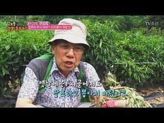 잡초가 아니라 대장암에 좋은 우리몸 지킴이! [정보통 광화문 640] 24회 20170803