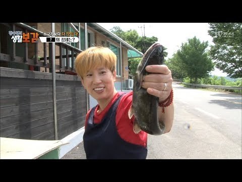 저수지의 으뜸 보양식의 주인공은 누구?! [황수경의 생활보감] 18회 20170805
