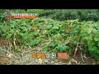 태풍이 지나간 듯 한 멧돼지의 흔적 [뉴 코리아 헌터] 62회 20170807