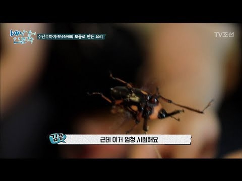 선풍기로 사용하는 곤충이 있다! [배낭 속에 인문학] 11회 20170822