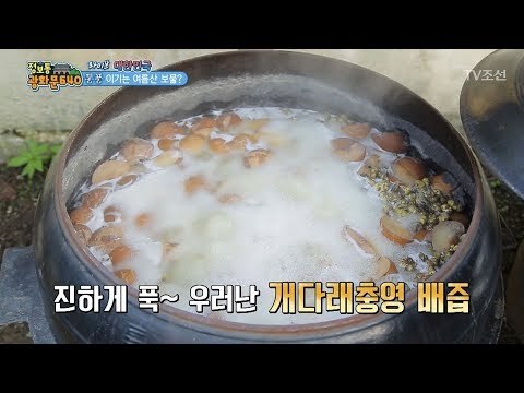 통풍 환자를 위한 ‘개다래충영 배즙’ [정보통 광화문 640] 27회 20170808