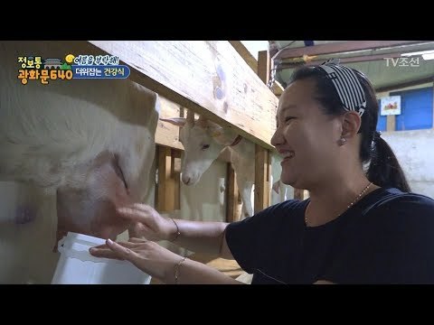 여름철 이색 보양식! 산양유와 염소고기! [정보통 광화문 640] 28회 20170809