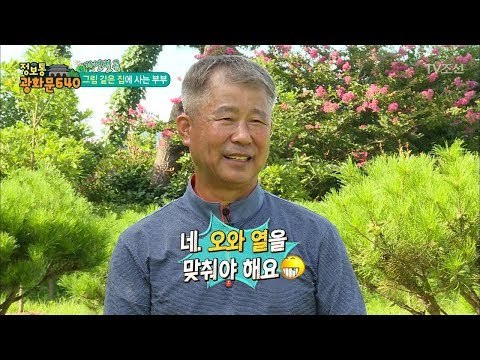 잉꼬 부부에게 생긴 냉전! 대체 무슨 일이...?! [정보통 광화문 640] 28회 20170809