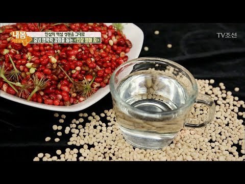 면역력 돕는 ‘인삼 열매’ 어떻게 먹을까? [내 몸 사용설명서] 165회 20170811