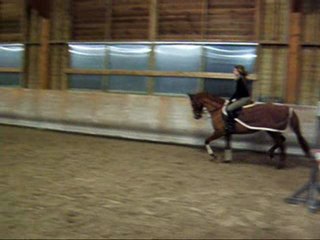 Montage dmon ptii poney ke jmeuuh <33