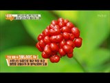 중년 활력 충전에 도움을 주는 ‘인삼 열매’ [내 몸 사용설명서] 165회 20170811