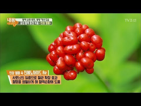 중년 활력 충전에 도움을 주는 ‘인삼 열매’ [내 몸 사용설명서] 165회 20170811