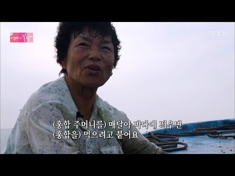 뱃일을 하는 오늘의 주인공 학임 엄마! [엄마의 봄날] 101회 20170813
