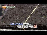 위 건강 특급 항염증 식품 ‘김’ [내 몸 사용설명서] 166회 20170818