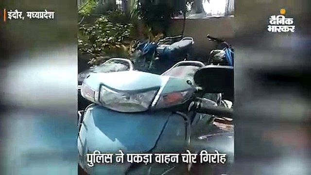 वाहन चोर गिरोह से पुलिस ने बरामद की 18 गाड़ियां