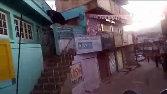 Residents asked to stay indoors after wild bear enters Indian town