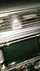 Driver spots 'zombie deer' standing motionless on US road