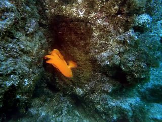 파주출장안마 -여대생！Ø7Ød5222a78Ø2{톡문의ZHF526}파주전지역출장마사지파주출장안마'파주출장마사지황형'출장안마'ёжз출장오피'출장마사지'콜걸