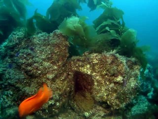 군포출장안마 -여대생！Ø7Ød7575vØØ62【문의톡LJ69】군포전지역출장마사지군포출장안마'군포출장마사지황형'출장안마'опр출장오피'출장마사지'콜걸