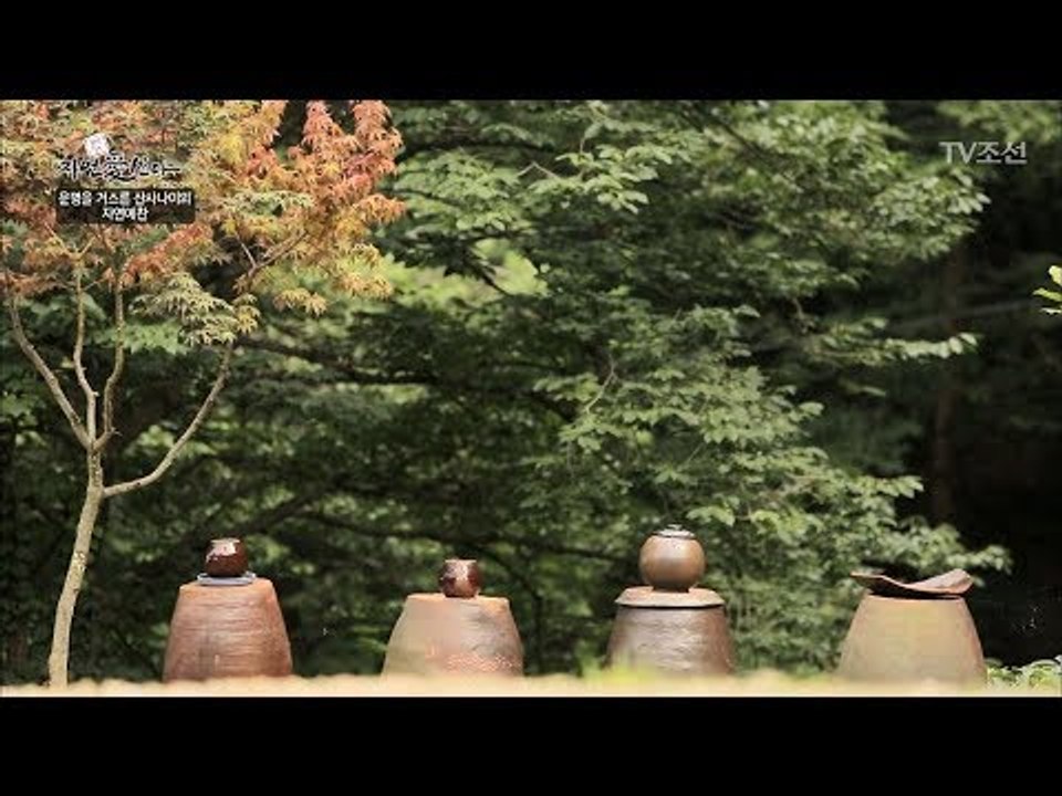 자연인의 집 앞 마당, 항아리 인테리어! [자연愛산다] 19회 20170822