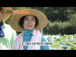 귀농 9년 차, 연꽃에 둘러 쌓인 부부가 떴다! [정보통 광화문 640] 39회 20170824