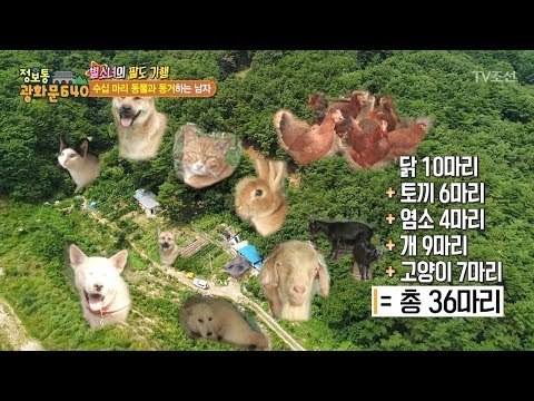 수십 마리의 동물들과 동거하는 남자가 있다 [정보통 광화문 640] 41회 20170828
