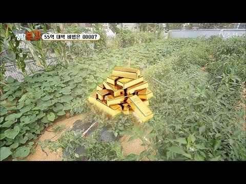 5만 원으로 55억을? 자투리땅의 비밀! [황수경의 생활보감] 21회 20170826