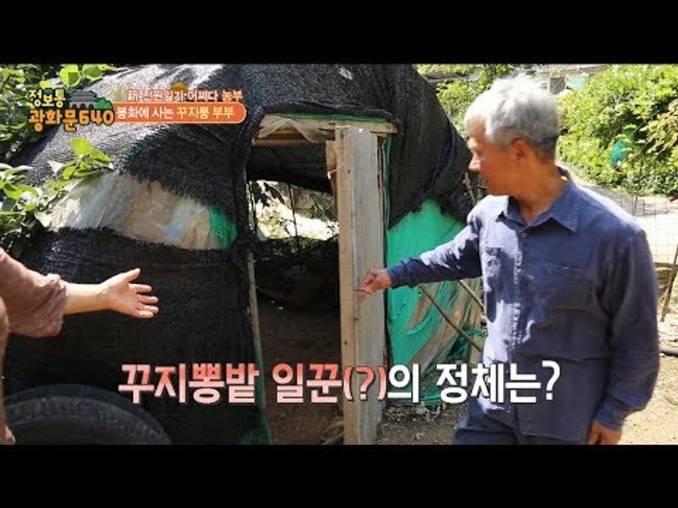 귀농 13년차 농사를 도와주는 특별한 존재가 있다?! [정보통 광화문 640] 44회...