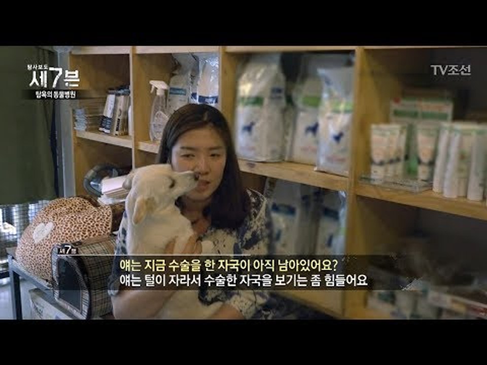 안철수 의원이 씻겨줬던 강아지의 숨겨진 비밀! [탐사보도 세븐 1회] 1회 20170830