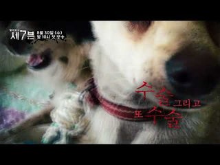 탐욕 그리고 반려견의 고통_탐사보도 세븐 1회 예고