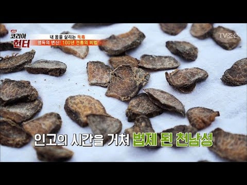 독초가 약으로 변하는 비법! [뉴 코리아 헌터] 65회 20170828