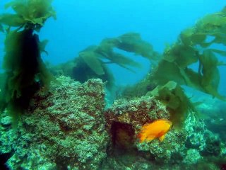 대덕출장안마 -여대생！Ø7Ød7575vØØ62【문의톡LJ69】대덕전지역출장마사지대덕출장안마'대덕출장마사지황형'출장안마'ぇえぉ출장오피'출장마사지'콜걸