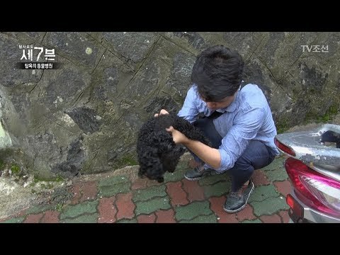 울릉도 유기견 실습 사건의 전말을 찾아서! [탐사보도 세븐 1회] 1회 20170830
