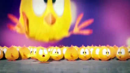 Where is Chicky? Funny Chicky #71 | Chicky Dessin Animé 2018