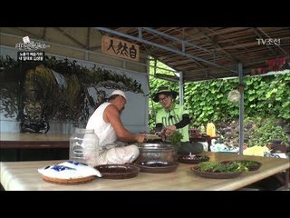 집 앞에서 딴 약초들로 효소 만들기! [자연愛산다] 21회 20170905