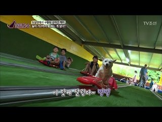 속도를 즐길 줄 아는 썰매 레이서 강아지 [파트라슈] 3회 20170923