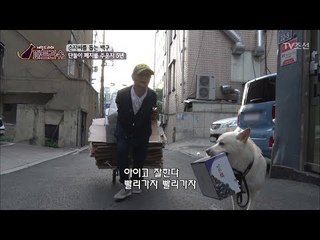 백구, 할머니와 함께 서로에게 의지가 되는 일상! [파트라슈] 1회 20170909