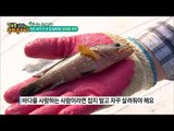 여수 바다가 앞마당! 강태공 부부! [정보통 광화문 640] 53회 20170913