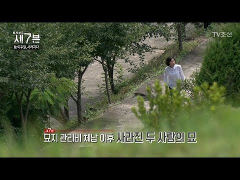 묘지 관리비가 체납된 후 사라진 이주일과 어머니 [탐사보도 세븐 3회] 20170913