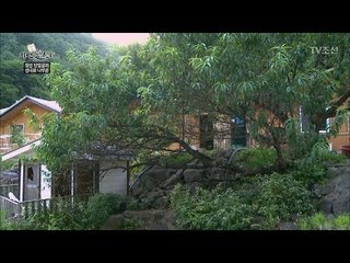 역대급으로 가장 고급진 자연인의 집! [자연愛산다] 23회 20170919