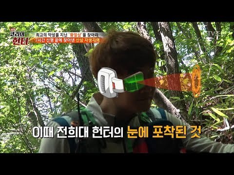 7시간의 산행 끝, 이곳은 산삼 밭? [뉴 코리아 헌터] 68회 20170918