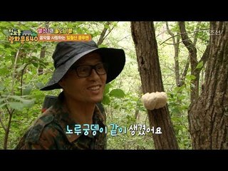 쿵푸맨과 함께 하는 산행! [정보통 광화문 640] 56회 20170918