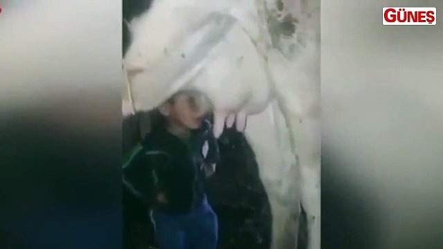 Bu miniğin videosu, sosyal medyada paylaşım rekoru kırıyor