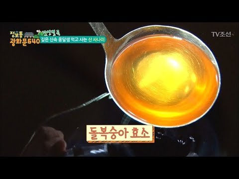 자두로 식초를? 상큼한 맛이 일품! [정보통 광화문 640] 58회 20170920
