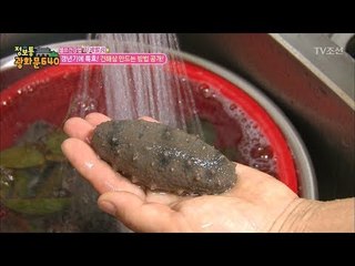갱년기 특효 ‘건해삼’ 만드는 법! [정보통 광화문 640] 59회 20170921