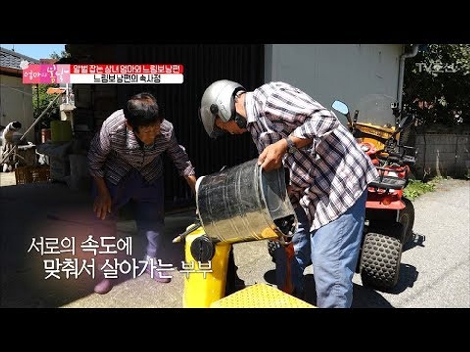 말벌 잡는 엄마와 느림보 남편의 속사정은? [엄마의 봄날] 107회 20170924