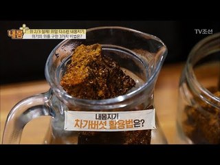 위를 구하라! ‘차가버섯’ [내 몸 플러스] 75회 20170924