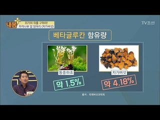 자작나무의 암 덩어리 ‘차가버섯’?  [내 몸 플러스] 75회 20170924
