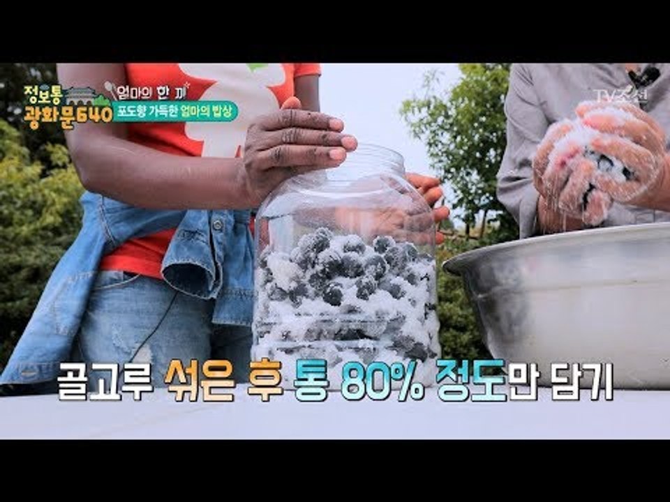 순도 100% 포도주 만드는 법! [정보통 광화문 640] 60회 20170922