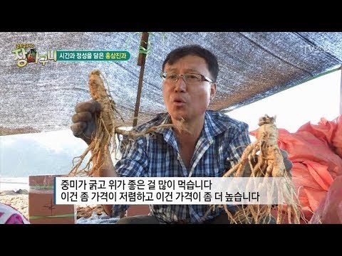몸에 좋은 인삼! 인삼을 구별하는 법은?! [정보통 광화문 640] 64회 20170928