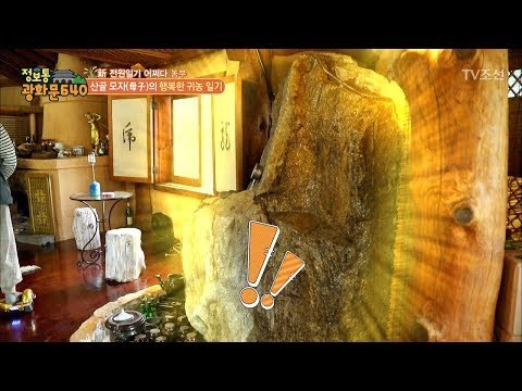 집안에 바위가?! 물이 흐르는 바위의 정체는? [정보통 광화문 640] 68회 20171011