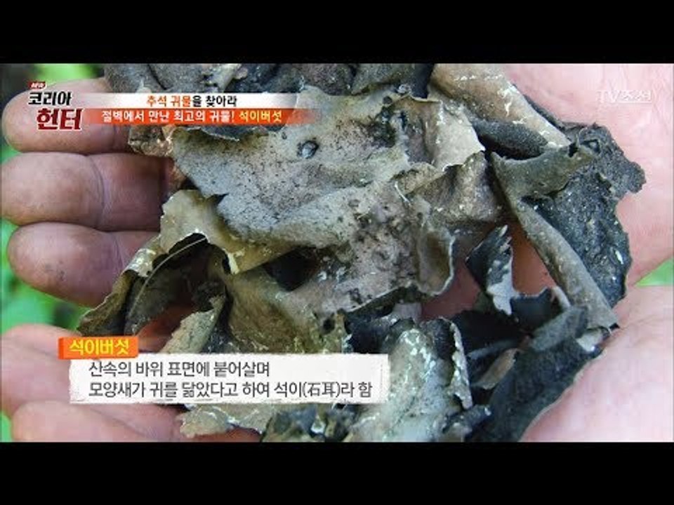 노화방지! 최고의 귀물 ‘석이버섯’을 얻다! [뉴 코리아 헌터] 69회 20170925