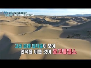 노래하는 모래언덕 ‘홍고링엘스’에서 즐기는 모래썰매! [배낭 속에 인문학] 16회 20170926